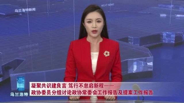 汇聚共识建良言 笃行不怠启新程——政协委员分组讨论政协常委会工作报告及提案工作报告