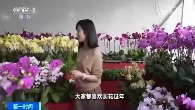 珠海有个“直通”澳门的“隐秘”地方