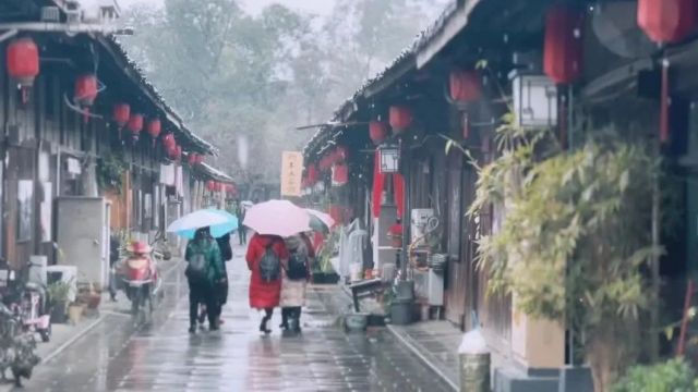 双流加入下雪群聊!朋友圈一片白茫茫,雪景图开炫!