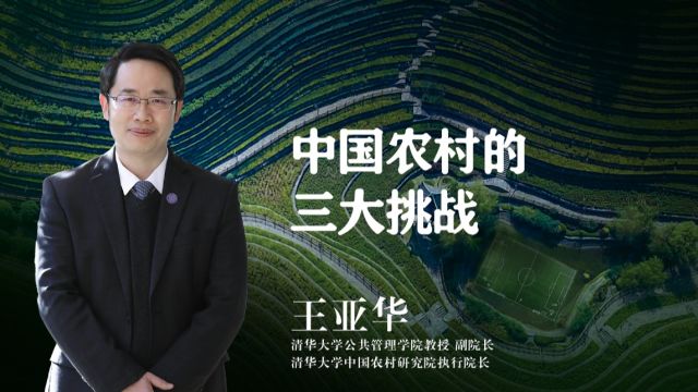 农村发展面临三大挑战:生存、经济和治理