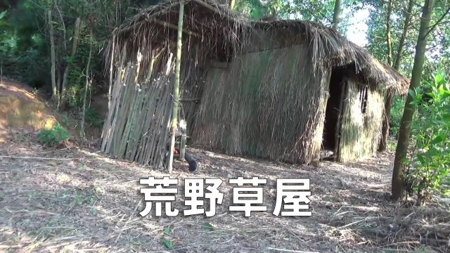 野外建造:男人开局一块石头,竟然徒手建造了漂亮的小屋