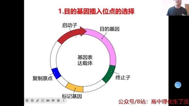 2024年生物高考二轮复习:基因工程