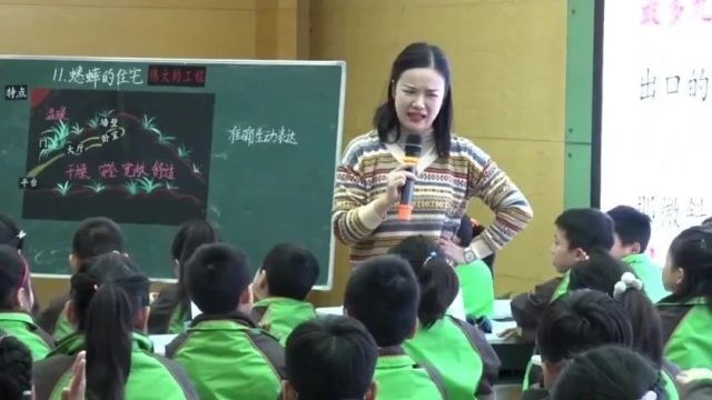 【小语优质课】江苏省第22届青年教师小学语文课堂教学观摩暨优课评选活动(1118)