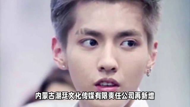 吴亦凡关联公司已成老赖!