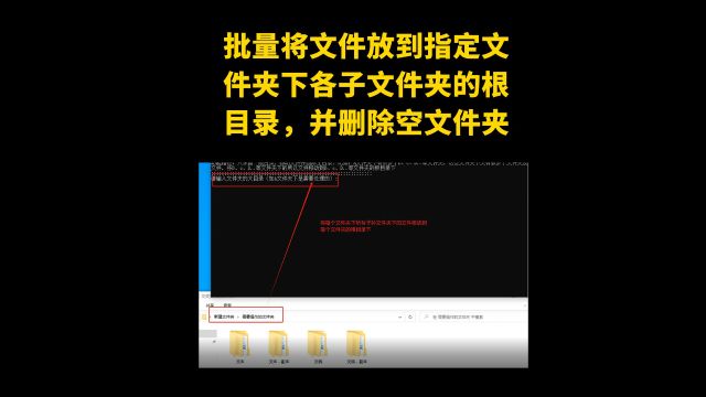 10003批量将文件放到指定文件夹下各子文件夹的根目录,并删除空文件夹(对子孙文件夹均有效)