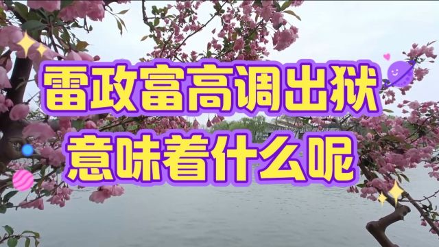 雷政富高调出狱意味着什么呢