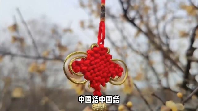 中国结:它的造型和寓意非常丰富,不同的结有不同的寓意,如平安结代表平安吉祥,双喜结代表喜庆吉祥等.同时,中国结的形态多样,有单结、双结、多...