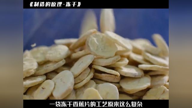 冻干工艺原来这么复杂,怪不得能成为航天食品这就是