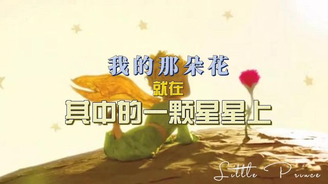 小王子(二):我的那朵花就在其中的一颗星星上