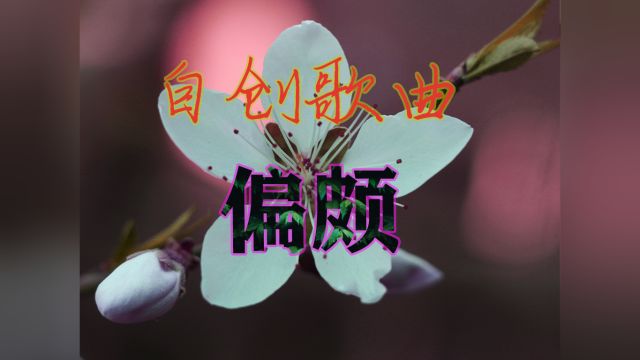 一首自创歌曲:偏颇,送给大家,大家都在关注,只在等你!