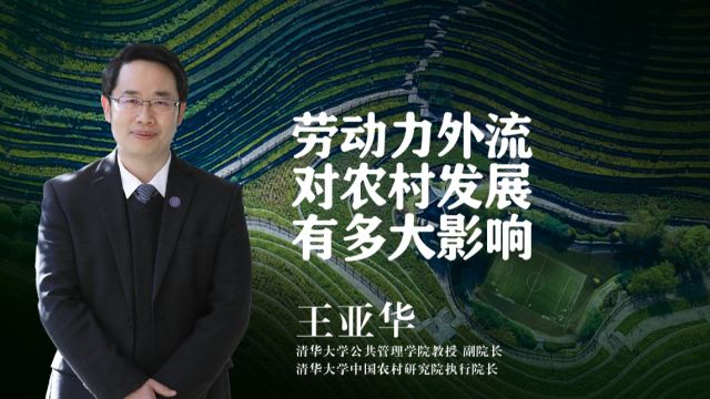 清华教授王亚华:劳动力外流是影响农村发展的关键吗?