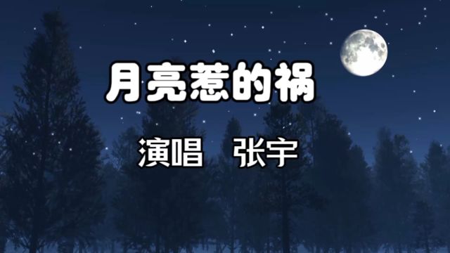 张宇演唱《月亮惹的祸》