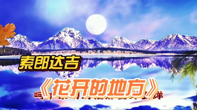 索郎达吉一首《花开的地方》经典歌曲,深情演绎,悦耳动听,感人至深,好听!