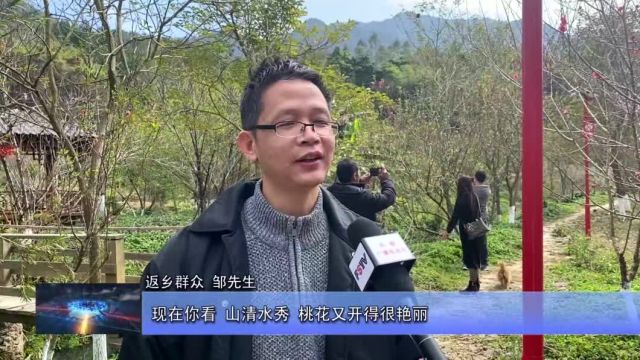 新春走基层|丰良镇三山村:桃花迎春绽放 乡村变“香”村