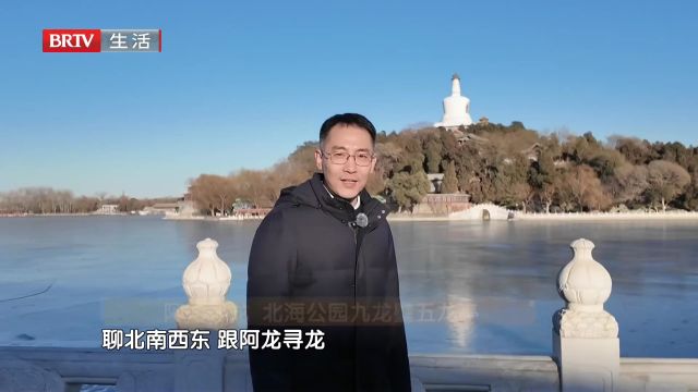 阿龙寻龙,北海公园九龙壁五龙亭