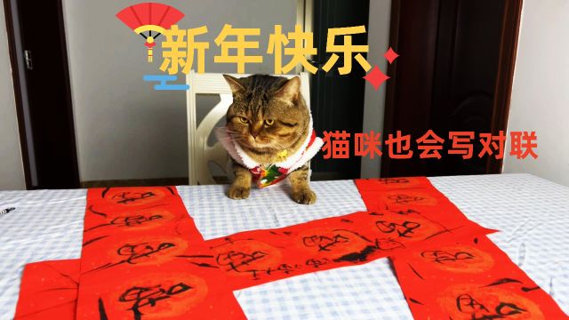 猫咪写的对联,你喜欢吗?