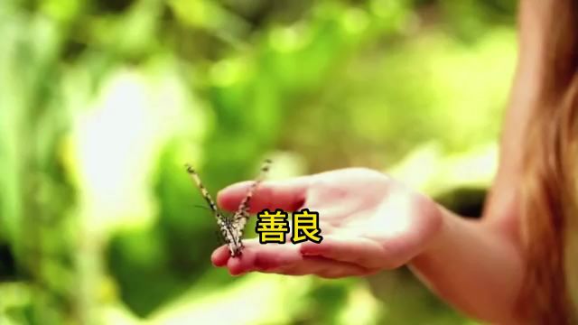 精品欣赏《善良》作者#佚名#读书#故事#传奇