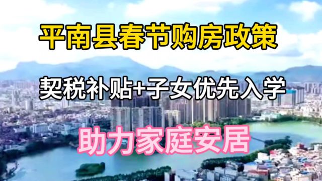 平南县春节购房政策:契税补贴+子女优先入学,助力家庭安居