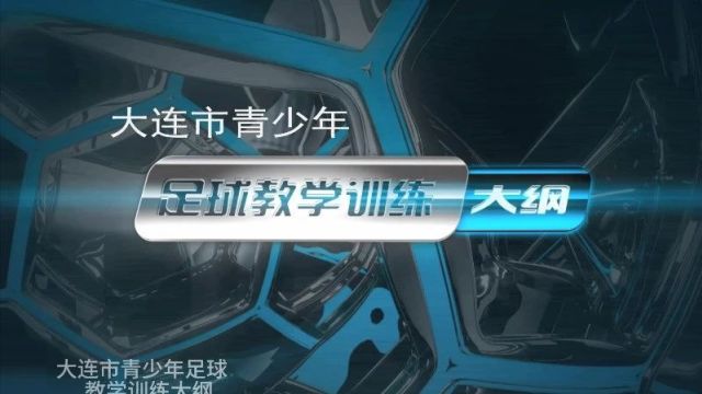 《大连市青少年足球教学训练大纲》推广普及系列之二——足球从娃娃抓起