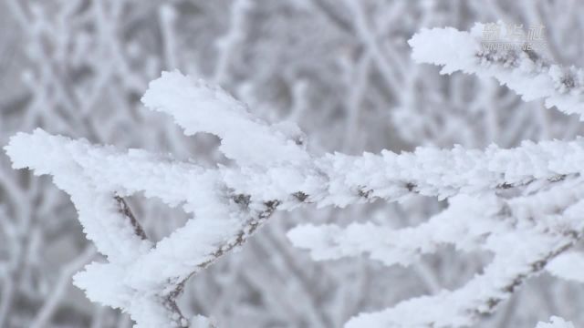 江西庐山:瑞雪兆丰年