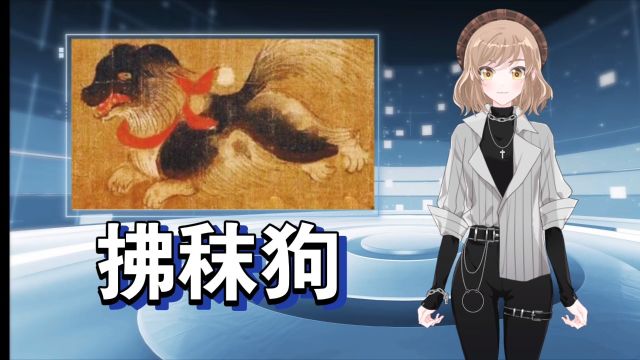 你知道《簪花仕女图》里的狗狗品种吗?𐟐𖀀