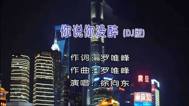 徐向东演唱歌曲《你说你没醉》KTVDJ版