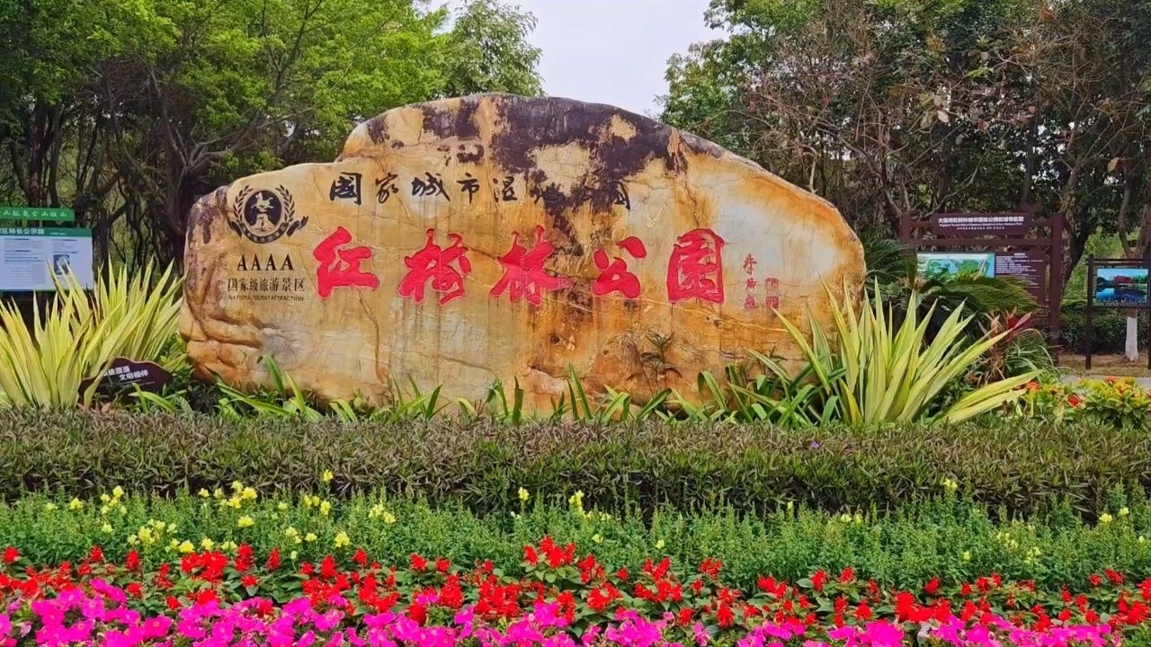 中摄在线记者黄建华拍摄,大亚湾红树林城市湿地公园位于大亚湾中心区