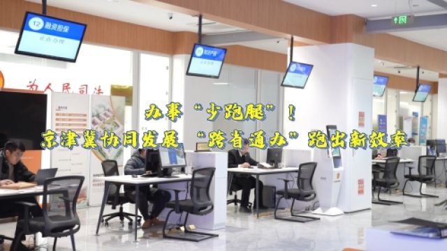 瓣瓣同心 | 办事“少跑腿”!京津冀协同发展 “跨省通办”跑出新效率