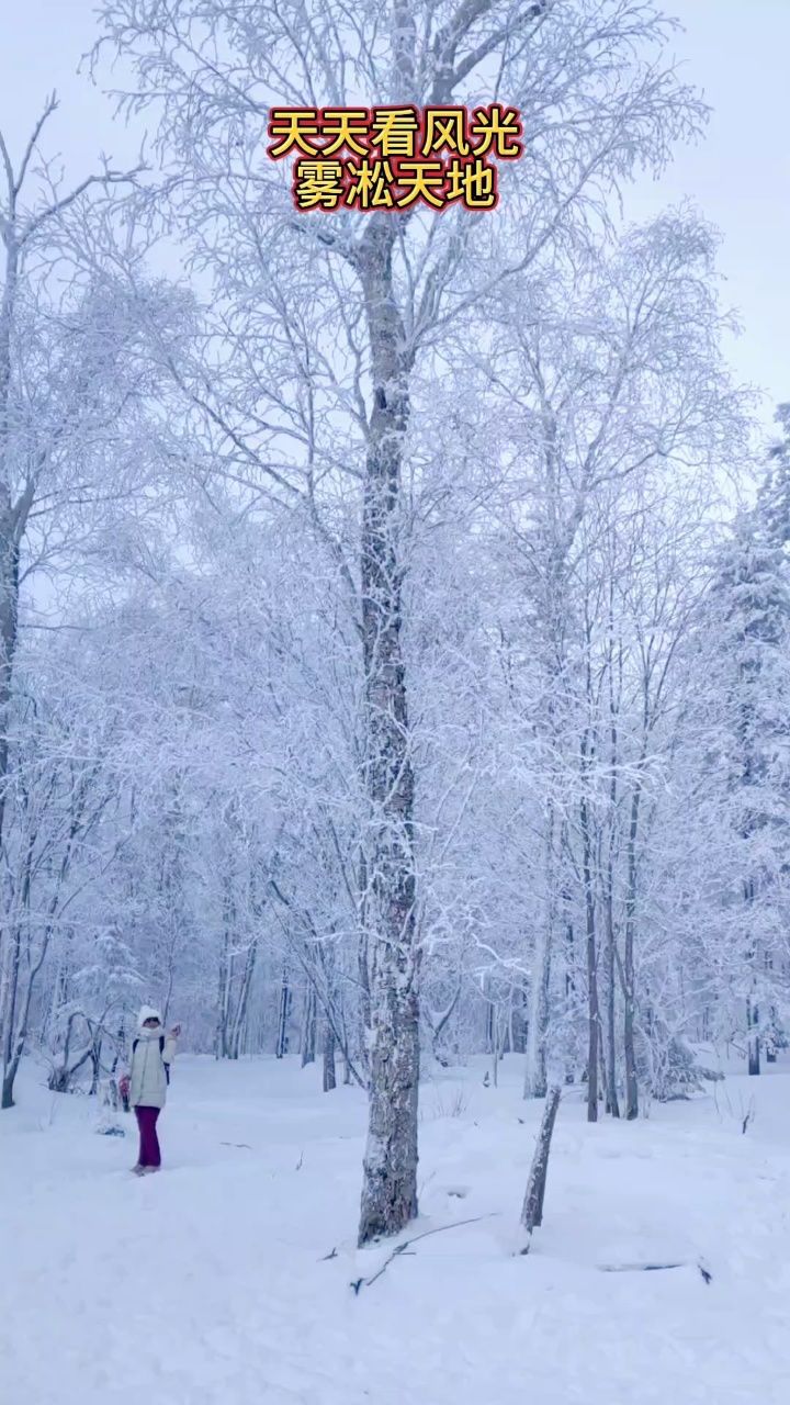 东北雾凇之美!#雾凇美景 #带你看雪景 #雪树银花
