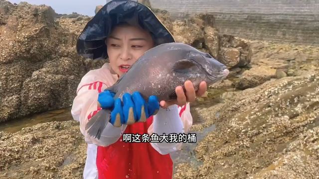 海浪冲上好多大海螺!海螺里都是宝啊2.#赶海