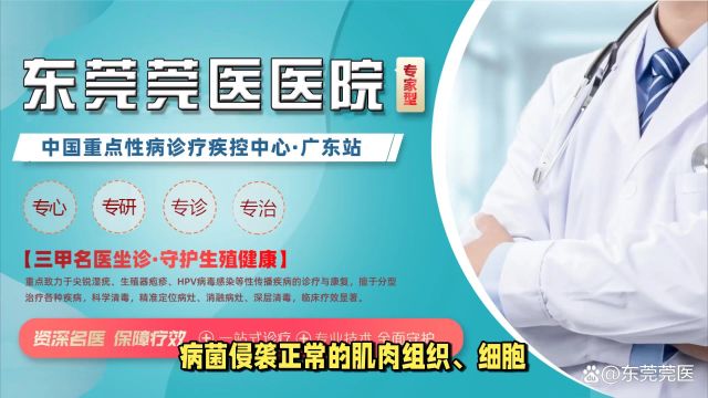 东莞莞医医院东莞生殖器疱疹的五大症状