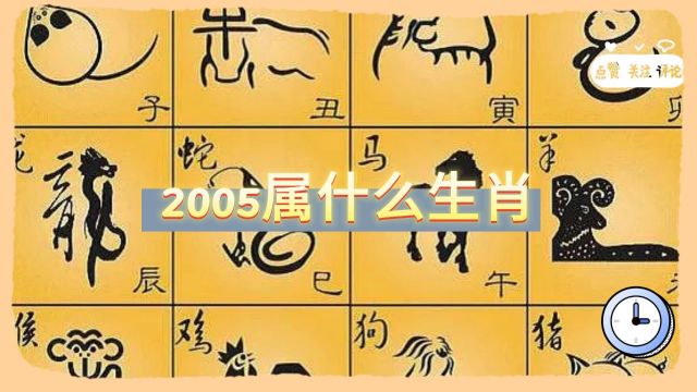 2005属什么生肖