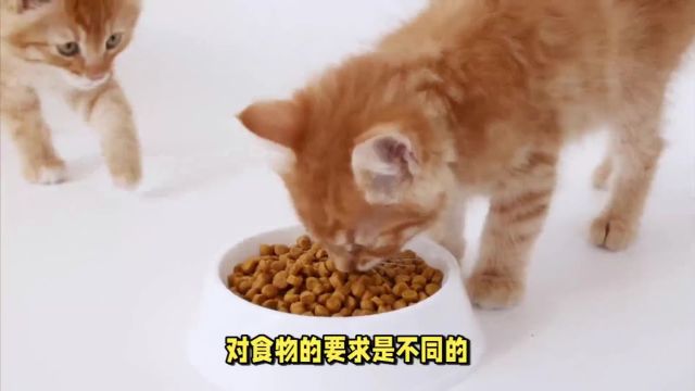 福派斯课堂:买猫粮这些注意事项你得知道?