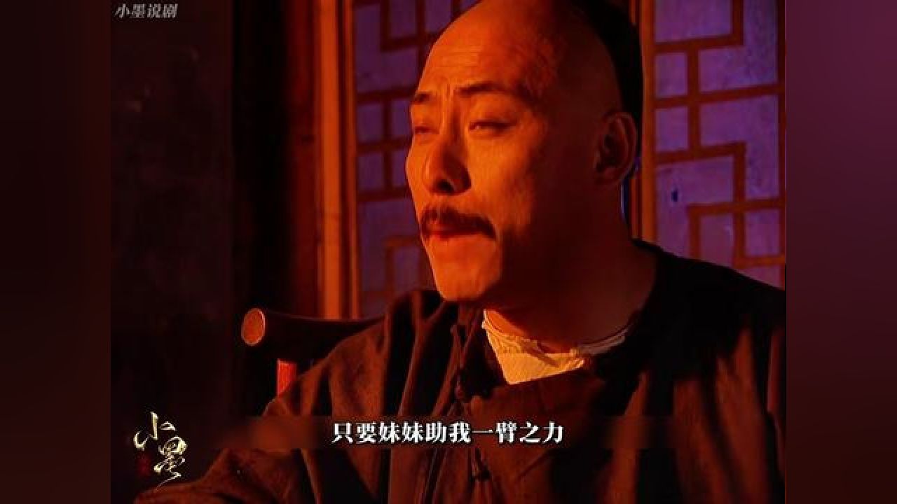 杨起隆的皇帝梦!#康熙王朝 #怀旧经典影视 #影视解说