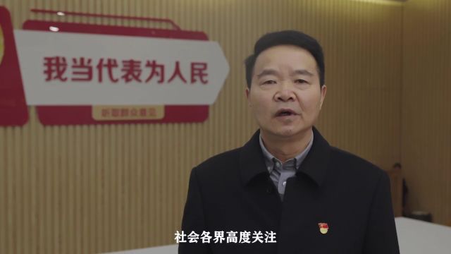 欧阳华代表有话说