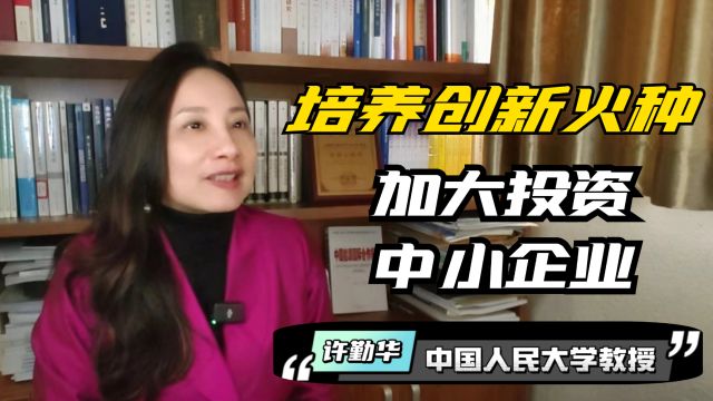 对话安永专家鲁欣:各地政府应加大投资中小企业,培育创新小火种