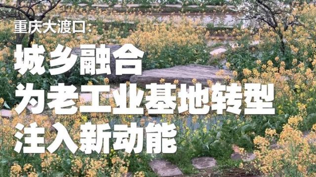 重庆大渡口:城乡融合为老工业基地转型注入新动能