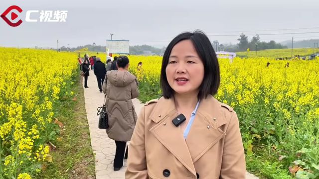 C视频|岳池苟角镇万亩油菜花海已上线,还有8项特色文旅活动!