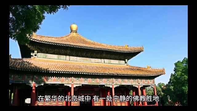 雍和宫,一座充满历史沧桑和文化底蕴的佛教寺院