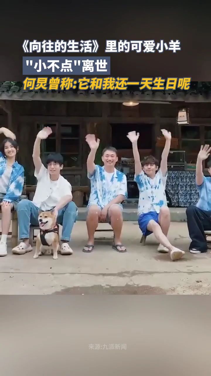 《向往的生活》里的可爱小羊"小不点"离世,何炅曾称"它和我同一天生日