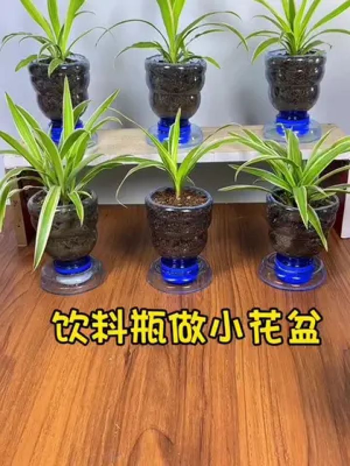 小小饮料瓶做的花盆也很美喜欢的朋友也动手做起来吧#手工diy #手工