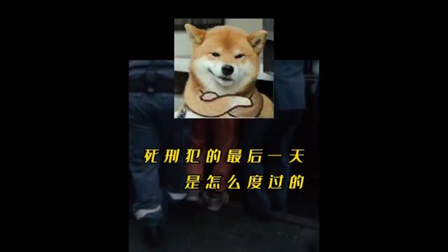 号称“逢赌必赢”的策略