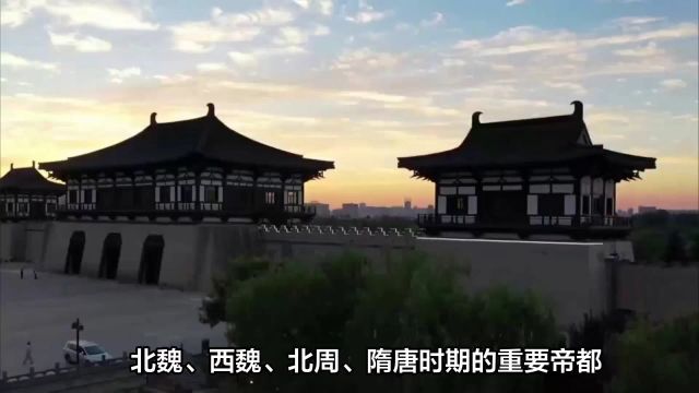 洛阳牡丹花期时间来了,你准备好了吗? 2024年洛阳牡丹花期及赏花地点介绍