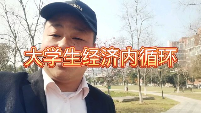 大学生经济内循环