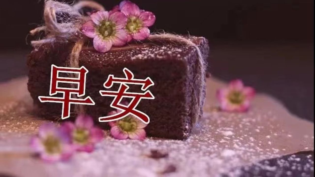 群发暖心好看的春日早安图片带字祝福,免打字聊天的问候语祝福语精选