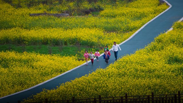 阳春三月 春暖花开