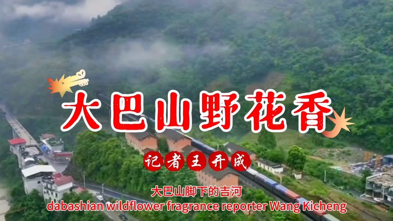 大巴山陕西安康吉河野花香(英语版)|记者王开成