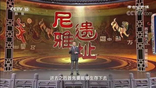 中国消失的古国系列纪录片《探秘精绝国》