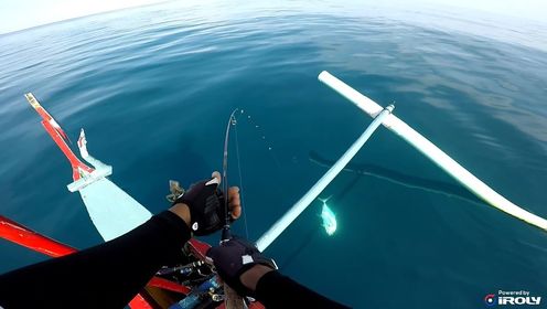 大神真是厉害!竟能钓出极品石大鱼,富豪当场打电话跪求收购