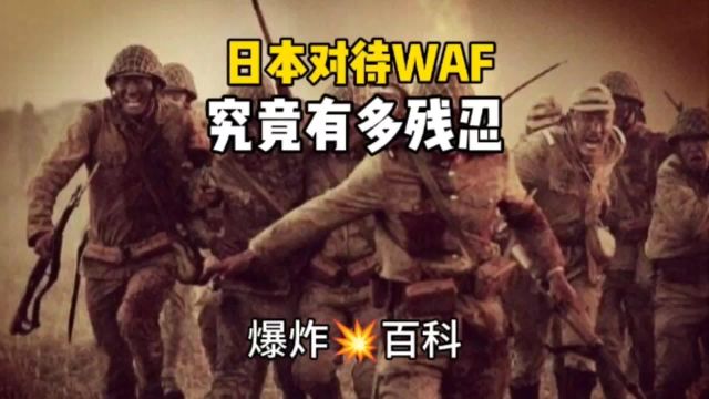 日本对待WAF究竟有多残忍?为何要如此呢?